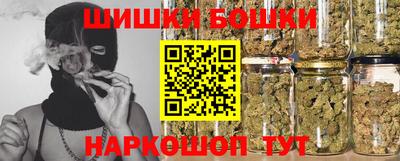 индика Можга