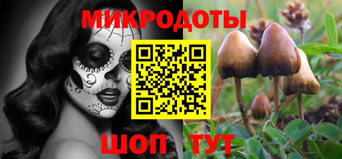 Псилоцибиновые грибы Cubensis  Псилоцибиновые грибы прущие грибы  Вход с VPN  Симферополь 